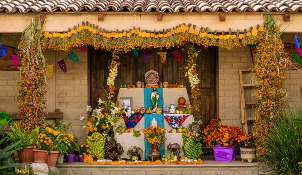Ofrenda — 6