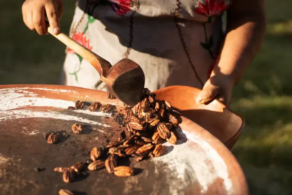 Espíritus de Matatlán: Crea y Cata tu Mezcal — 4