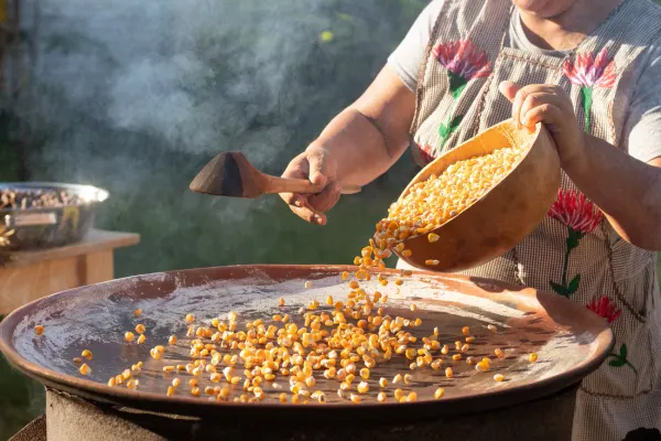Espíritus de Matatlán: Crea y Cata tu Mezcal — 5