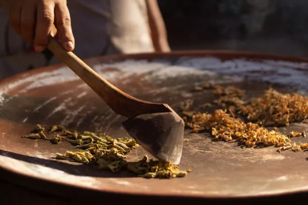 Espíritus de Matatlán: Crea y Cata tu Mezcal — 6