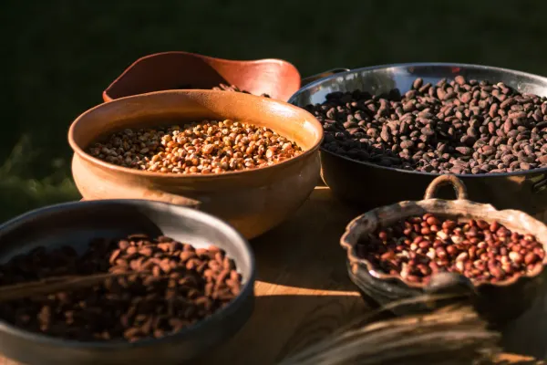 Espíritus de Matatlán: Crea y Cata tu Mezcal — 7
