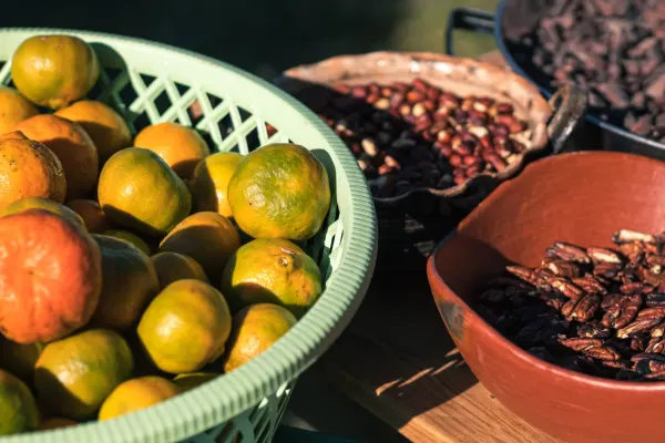 Espíritus de Matatlán: Crea y Cata tu Mezcal — 8