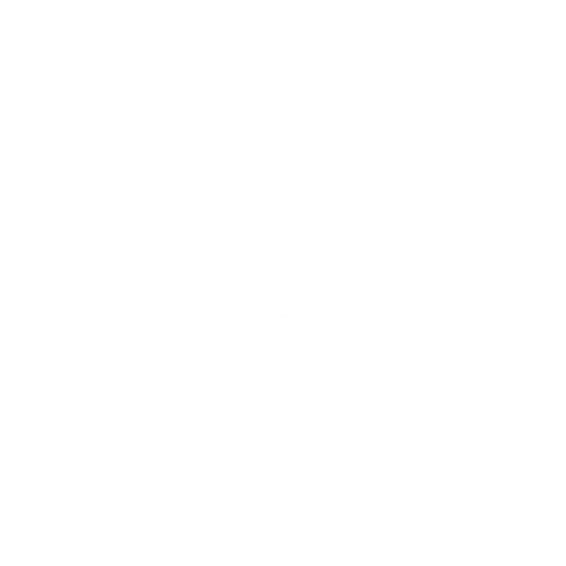 Palenque 5 Estrellas